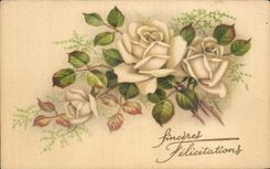 CPA Fantaisie Fleurs Sinceres Felicitations