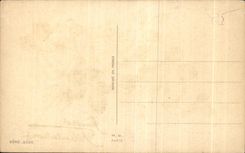 CPA Fantaisie Fleurs Sinceres Felicitations