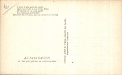 CPA With the Gascon Country gemmeous pines with the setting sun