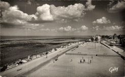 CPA Langrune On Sea (Apple-brandy) Volleyball Ball Volley ball