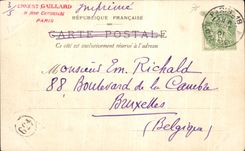 CPA Garden of tileries and House of Marsan Paris