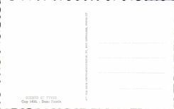 Las escenas de CPA y mecanografian adentro el camello del camello del oasis