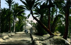 Escenas y tipos manera de CPA en la plantacion de la palma