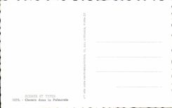 Escenas y tipos manera de CPA en la plantacion de la palma