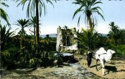 Escenas y tipos de CPA bien adentro un oasis