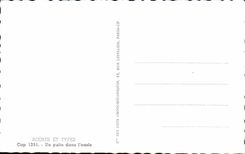 Escenas y tipos de CPA bien adentro un oasis