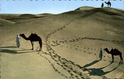 Escenas y tipos arena de CPA de las dunas