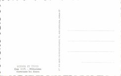 Escenas y tipos Meharistes de CPA que cruza el camello del camello del desierto