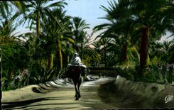 Escenas y tipos camino de CPA en oasis