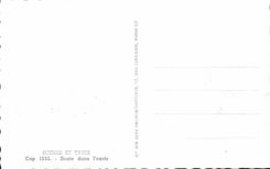 Escenas y tipos camino de CPA en oasis