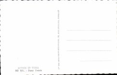 Las escenas de CPA y mecanografian adentro el oasis