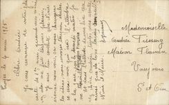 CPA Fantaisie Fleurs Bleuet