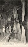 CPA Grottes De Betharram Colonnes des Palmiers
