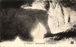 CPA Grottes De Betharram L Elephant
