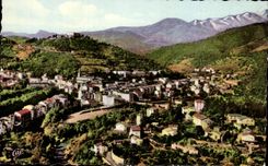 CPA Amelie Les Bains Perle des Pyrenees Vue generale et le Fort