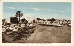 CPA Monastie Cimetiere Arabe et Marabaut Sidi Et Mezri Tunisie 