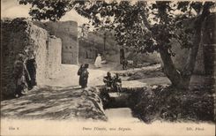 CPA In Oasis an Irrigation channel Algeria