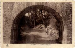 CPA Gabes Entree de l Oasis Tunisie 