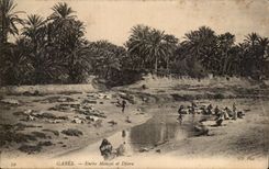 CPA Gabes Entre Menzel et Djara Tunisie 