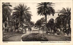 CPA Tunis Square de la Residence et Avenue de France Tunisie 