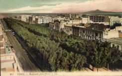 CPA Tunis Boulevarad Jules Ferry Tunisie