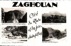 CPA Zaghouan Cite du Reve et des joies Champetres Tunisie