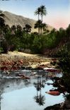 CPA Scenes Et Types Un Oued Tunisie