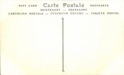 CPA Tunisia Carthage Garden Museum of Saint Louis Horse Horse