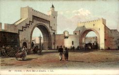 CPA Tunisie Tunis Porte Bab el Khadra