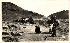 CPA Tunisia Scenes And Standard Caravan of Nomads