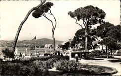 CPA la Cote D Azur Juan les Pins La Pinede