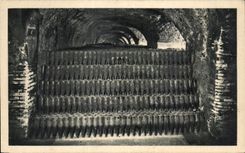 CPA a Mass of Bottles Moet Chandon Champagne