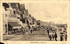 CPA Berck Plage L Esplanade Brasserie 