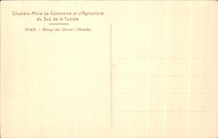 CPA Tunisia Sfax Hoeing of Olivers (Maacha)