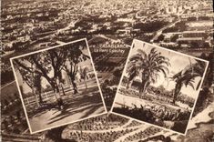 CPA Casablanca Le Parc Lyautey Maroc