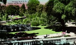 CPA Angers Un coin des Plantes dux Cygnes