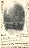 CPA Kichompre La Vologne Carte 1899