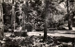 CPA La Baule Pines the Park of Dryades