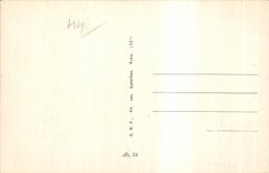 CPA La Baule Pines Wood Love Under wood