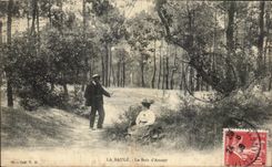 CPA La Baule Wood Love