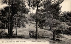 CPA La Baule on Sea Wood Love