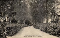 CPA La Baule en el mar que ocurrio de las lilas hacia Poullguen