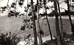 Oceano del St Brevin de CPA el sacador