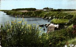 CPSM Bernerie in Retz Brooms on the Dimension