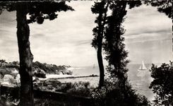 CPSM Bernerie in Retz Dimensions through the urbres