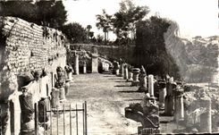 CPSM Vaison the Roman Details of the new Excavations