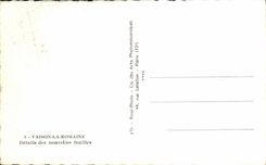 CPSM Vaison the Roman Details of the new Excavations