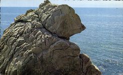 CPSM la dimension el gran oso de Whodunnit del oso polar de la dimension