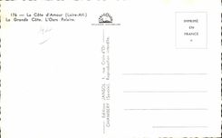 CPSM la dimension el gran oso de Whodunnit del oso polar de la dimension