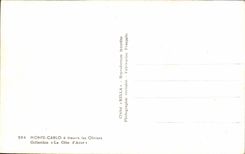 CPA Monte Carlo a travers les Oliviers Collection la Cote D Azur